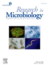 RESEARCH IN MICROBIOLOGY封面